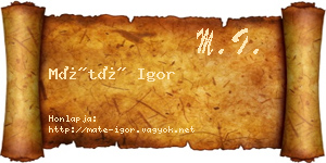 Máté Igor névjegykártya